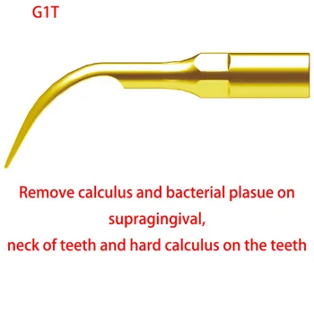 1pc Ultrazvuková Zubná Scaler Tipy G1T Kompatibilný S EMS/ ĎATLE, Bielenie Zubov, Zubné Scaler