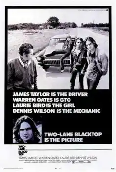 DVE LANE BLACKTOP Film James Taylor Dennis Wilson HODVÁB PLAGÁT, Dekoratívne maľby