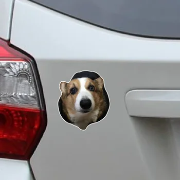 XY Corgi psa nálepky Auto Zadné sklo Nálepky Auto Príslušenstvo Dvere Auta Obtlačky Vinylové Nepremokavé 13cmx11cm